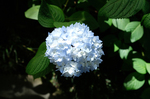 s_DSCF6969.jpg
